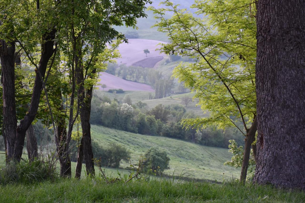 Locanda Sottolaluna Viano Екстериор снимка